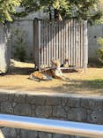 天王寺動物園に投稿された画像（2026/2/23）