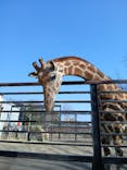 宇都宮動物園に投稿された画像（2026/2/23）