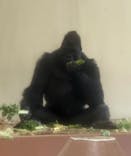 名古屋市東山動植物園に投稿された画像（2026/2/23）