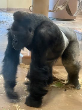 名古屋市東山動植物園に投稿された画像（2026/2/23）