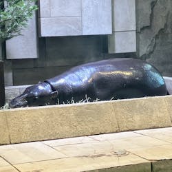 NIFREL（ニフレル）に投稿された画像（2026/2/23）