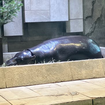 NIFREL（ニフレル）に投稿された画像（2026/2/23）