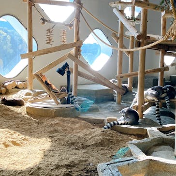 NIFREL（ニフレル）に投稿された画像（2026/2/23）