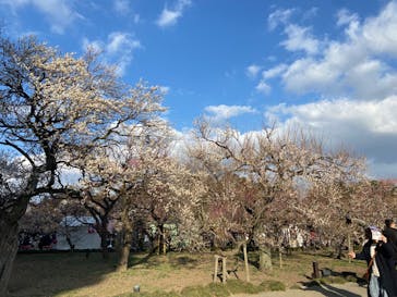 偕楽園本園に投稿された画像（2026/2/23）