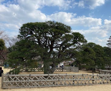 偕楽園本園に投稿された画像（2026/2/23）