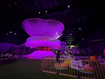 モビリティリゾートもてぎに投稿された画像（2026/2/23）