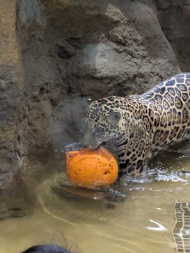 名古屋市東山動植物園に投稿された画像（2026/2/23）
