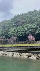 比謝川カヤックに投稿された画像（2026/2/23）