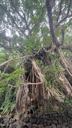 比謝川カヤックに投稿された画像（2026/2/23）