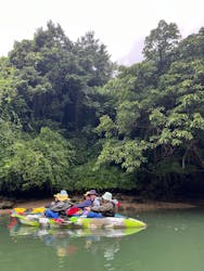 比謝川カヤックに投稿された画像（2026/2/23）