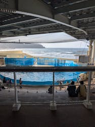新江ノ島水族館に投稿された画像（2026/2/23）