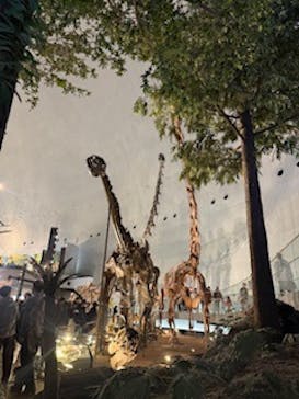 福井県立恐竜博物館に投稿された画像（2026/2/23）