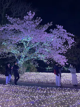 江の島シーキャンドルに投稿された画像（2026/2/23）