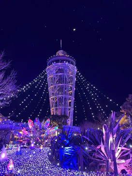 江の島シーキャンドルに投稿された画像（2026/2/23）