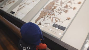 国立科学博物館に投稿された画像（2026/2/23）