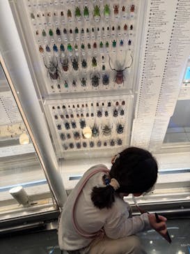 国立科学博物館に投稿された画像（2026/2/23）