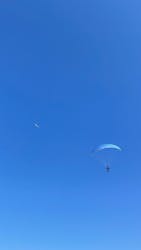 スカイエンジェルに投稿された画像（2026/2/23）