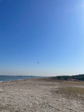 スカイエンジェルに投稿された画像（2026/2/23）