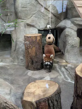 天王寺動物園に投稿された画像（2026/2/23）