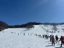 水上高原 藤原スキー場に投稿された画像（2026/2/23）