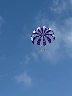 スカイウォーカーに投稿された画像（2026/2/23）