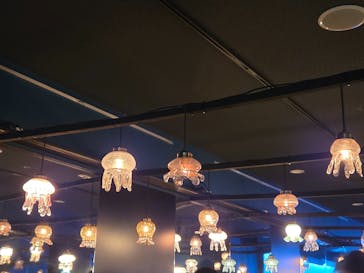 京都水族館に投稿された画像（2026/2/23）