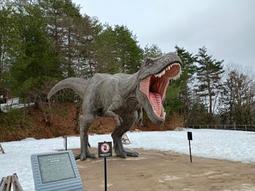 福井県立恐竜博物館に投稿された画像（2026/2/23）