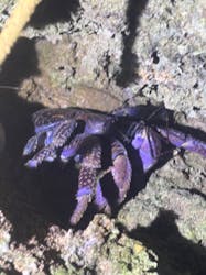  マリンショップHAPPYに投稿された画像（2026/2/23）