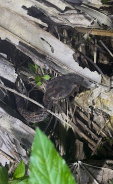  マリンショップHAPPYに投稿された画像（2026/2/23）