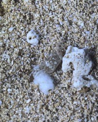  マリンショップHAPPYに投稿された画像（2026/2/23）