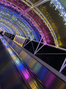 レオマリゾートに投稿された画像（2026/2/23）