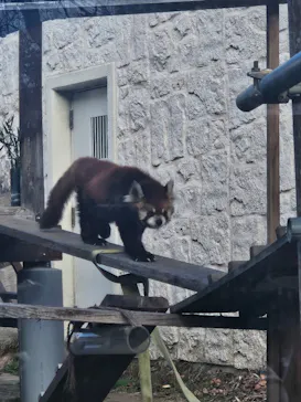 天王寺動物園に投稿された画像（2026/2/23）