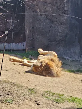天王寺動物園に投稿された画像（2026/2/23）