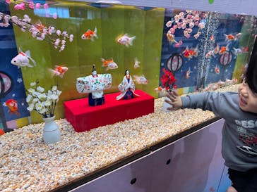 世界淡水魚園水族館　アクア・トトぎふに投稿された画像（2026/2/23）