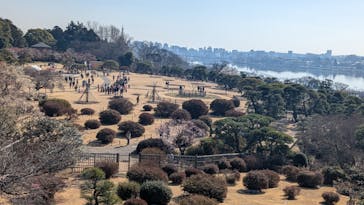 偕楽園本園に投稿された画像（2026/2/23）