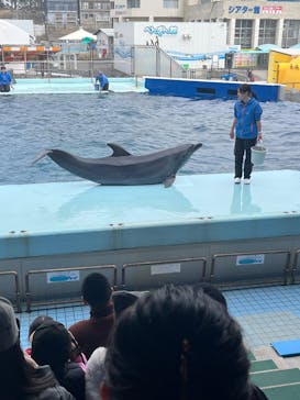 越前松島水族館に投稿された画像（2026/2/23）