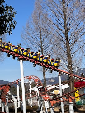 渋川スカイランドパークに投稿された画像（2026/2/23）