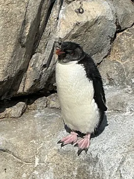 仙台うみの杜水族館に投稿された画像（2026/2/23）