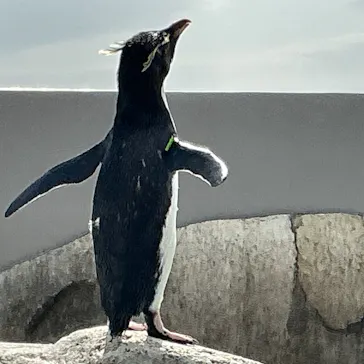 仙台うみの杜水族館に投稿された画像（2026/2/23）