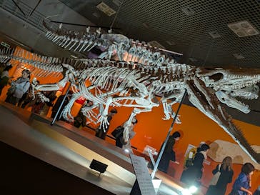 特別展「大絶滅展―生命史のビッグファイブ」に投稿された画像（2026/2/23）