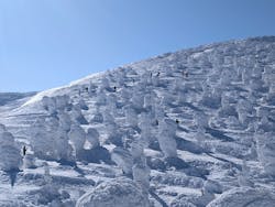 蔵王温泉スキー場に投稿された画像（2026/2/23）