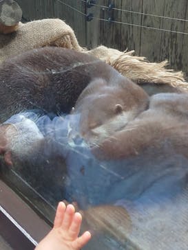 恩賜上野動物園に投稿された画像（2026/2/23）