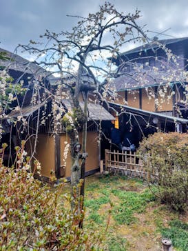 偕楽園本園に投稿された画像（2026/2/23）