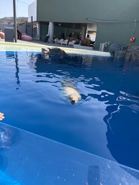大分マリーンパレス水族館 「うみたまご」に投稿された画像（2026/2/23）
