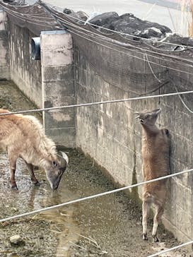 アドベンチャーワールドに投稿された画像（2026/2/23）