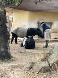 アドベンチャーワールドに投稿された画像（2026/2/23）