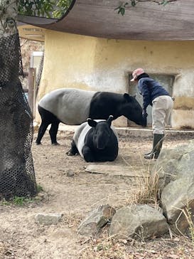 アドベンチャーワールドに投稿された画像（2026/2/23）