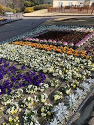 安城産業文化公園デンパークに投稿された画像（2026/2/23）