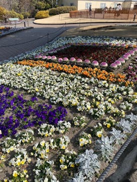 安城産業文化公園デンパークに投稿された画像（2026/2/23）