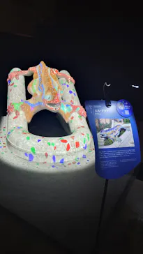 NAKED meets ガウディ展に投稿された画像（2026/2/23）